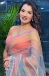 Sindur Organza Fabric With Beutiful Handwork Sarees Wholesale Suppliers In Mumbai